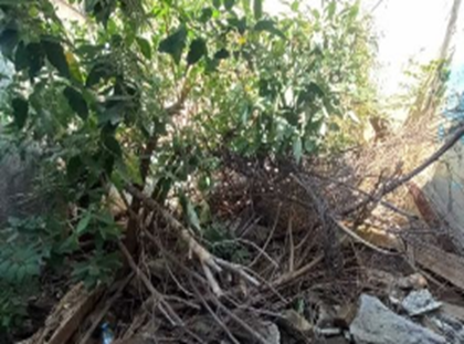 Magno Bienes Raices