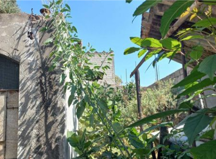 Magno Bienes Raices