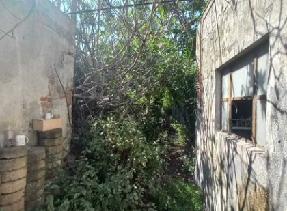 Magno Bienes Raices